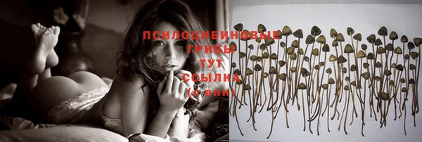 прущий лед Вяземский
