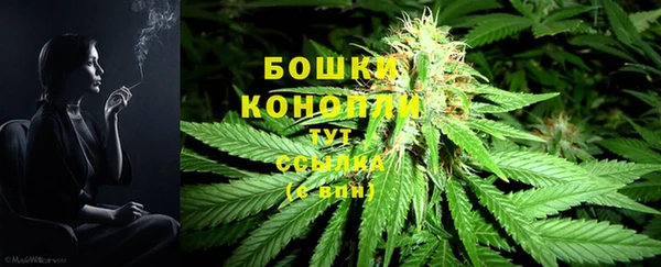 прущий лед Вяземский